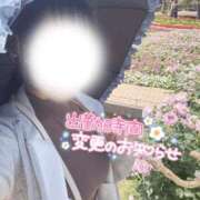 ヒメ日記 2026/02/17 08:30 投稿 まや Masquerade(マスカレード)