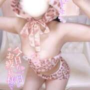 ヒメ日記 2026/05/13 23:39 投稿 まや Masquerade(マスカレード)