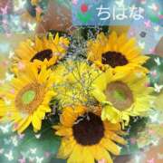 ヒメ日記 2025/08/19 16:17 投稿 ちはな 完熟ばなな 立川