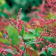 ヒメ日記 2025/09/12 09:47 投稿 ちはな 完熟ばなな 立川