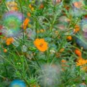 ヒメ日記 2025/09/14 10:57 投稿 ちはな 完熟ばなな 立川