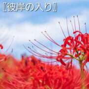 ヒメ日記 2025/09/20 08:37 投稿 ちはな 完熟ばなな 立川