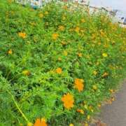 ヒメ日記 2025/09/21 11:07 投稿 ちはな 完熟ばなな 立川