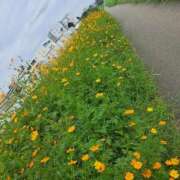 ヒメ日記 2025/09/23 11:17 投稿 ちはな 完熟ばなな 立川