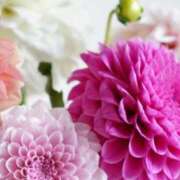 ヒメ日記 2025/10/03 09:57 投稿 ちはな 完熟ばなな 立川