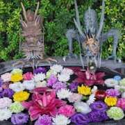 ヒメ日記 2025/10/11 08:58 投稿 ちはな 完熟ばなな 立川