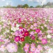 ヒメ日記 2025/10/24 08:07 投稿 ちはな 完熟ばなな 立川