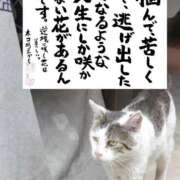 ヒメ日記 2025/11/03 08:27 投稿 ちはな 完熟ばなな 立川