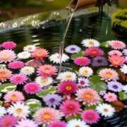 ヒメ日記 2025/11/08 08:27 投稿 ちはな 完熟ばなな 立川