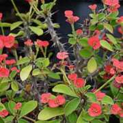 ヒメ日記 2025/11/09 08:37 投稿 ちはな 完熟ばなな 立川