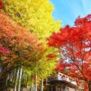 ヒメ日記 2025/11/14 09:47 投稿 ちはな 完熟ばなな 立川