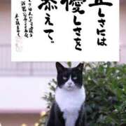 ヒメ日記 2025/11/16 09:57 投稿 ちはな 完熟ばなな 立川