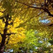 ヒメ日記 2025/11/20 11:27 投稿 ちはな 完熟ばなな 立川