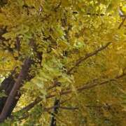 ヒメ日記 2025/12/10 09:17 投稿 ちはな 完熟ばなな 立川