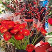 ヒメ日記 2025/12/16 08:17 投稿 ちはな 完熟ばなな 立川