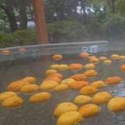 ヒメ日記 2025/12/22 01:47 投稿 ちはな 完熟ばなな 立川