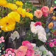 ヒメ日記 2026/01/29 08:47 投稿 ちはな 完熟ばなな 立川