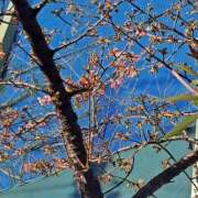 ヒメ日記 2026/02/03 15:07 投稿 ちはな 完熟ばなな 立川