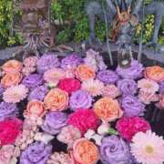 ヒメ日記 2026/02/19 11:07 投稿 ちはな 完熟ばなな 立川