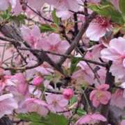 ヒメ日記 2026/02/25 07:47 投稿 ちはな 完熟ばなな 立川