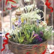 ヒメ日記 2026/02/27 19:27 投稿 ちはな 完熟ばなな 立川