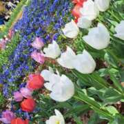 ヒメ日記 2026/03/01 00:27 投稿 ちはな 完熟ばなな 立川