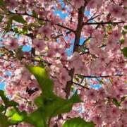 ヒメ日記 2026/03/05 13:01 投稿 ちはな 完熟ばなな 立川