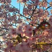 ヒメ日記 2026/03/12 08:27 投稿 ちはな 完熟ばなな 立川