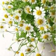 ヒメ日記 2026/03/14 08:36 投稿 ちはな 完熟ばなな 立川