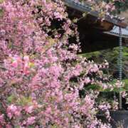 ヒメ日記 2026/03/16 06:37 投稿 ちはな 完熟ばなな 立川