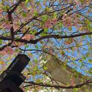 ヒメ日記 2026/03/19 09:04 投稿 ちはな 完熟ばなな 立川