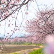 ヒメ日記 2026/03/22 07:38 投稿 ちはな 完熟ばなな 立川