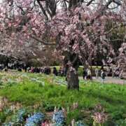 ヒメ日記 2026/03/24 08:57 投稿 ちはな 完熟ばなな 立川