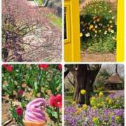 ヒメ日記 2026/03/24 21:40 投稿 ちはな 完熟ばなな 立川