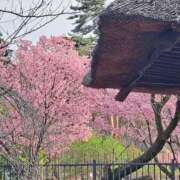 ちはな 🌸🌷3月28日(土)お仕事📖☡✍🌷🌸 完熟ばなな 立川