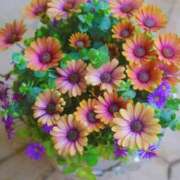 ヒメ日記 2026/04/02 07:47 投稿 ちはな 完熟ばなな 立川