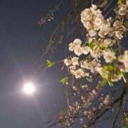 ヒメ日記 2026/04/04 01:27 投稿 ちはな 完熟ばなな 立川