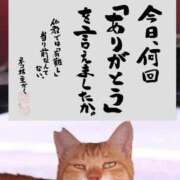 ヒメ日記 2026/04/08 08:17 投稿 ちはな 完熟ばなな 立川