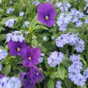 ヒメ日記 2026/04/10 07:07 投稿 ちはな 完熟ばなな 立川