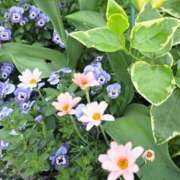 ヒメ日記 2026/04/13 20:17 投稿 ちはな 完熟ばなな 立川