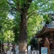 ヒメ日記 2026/04/17 14:17 投稿 ちはな 完熟ばなな 立川