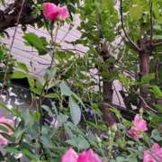 ヒメ日記 2026/04/19 11:17 投稿 ちはな 完熟ばなな 立川