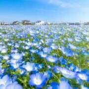 ヒメ日記 2026/05/03 07:57 投稿 ちはな 完熟ばなな 立川