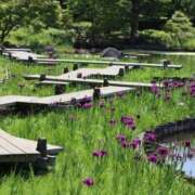 ヒメ日記 2026/05/20 17:20 投稿 ちはな 完熟ばなな 立川
