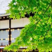ヒメ日記 2026/05/24 07:37 投稿 ちはな 完熟ばなな 立川