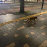 ヒメ日記 2026/02/21 20:28 投稿 YUKI どこかのＯＬさん達