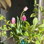 ヒメ日記 2026/03/19 11:45 投稿 YUKI どこかのＯＬさん達