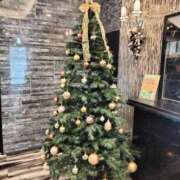 ヒメ日記 2025/11/06 20:41 投稿 尾崎 鶯谷人妻城