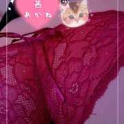 ヒメ日記 2025/08/24 12:03 投稿 茜-あかね- 人妻倶楽部 花椿北上店