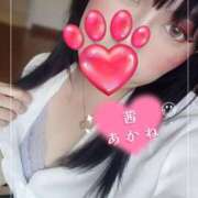 茜-あかね- ラスト！ 人妻倶楽部 花椿北上店